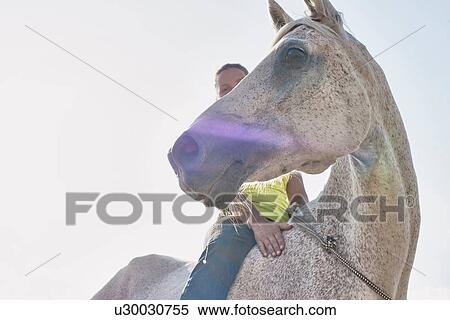 Low angle view of woman riding grey horse bareback View Large Photo Image Stock Photography - Low angle view of woman riding grey horse bareback. Fotosearch