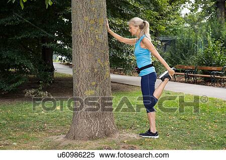 Mature woman stretching leg whilst training in park View Large Photo Image Stock Photography - Mature woman stretching leg whilst training in park. Fotosearch