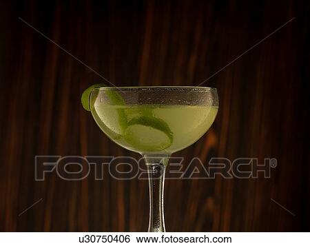 Mojito cocktail in cocktail glass View Large Photo Image Stock Photograph - Mojito cocktail in cocktail glass. Fotosearch