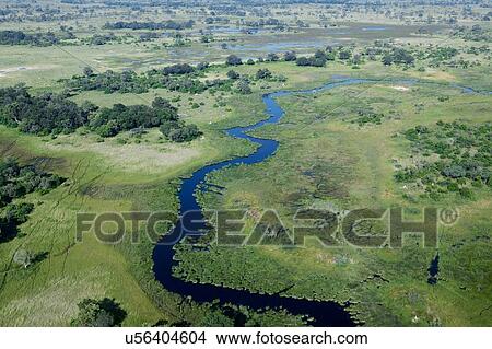 Okavango Delta tributary, Okavango Delta, Botswana View Large Photo Image Picture - Okavango Delta tributary, Okavango Delta, Botswana. Fotosearch