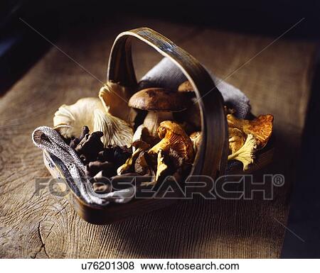 Organic wild mushrooms in basket on wooden cutting board View Large Photo Image Stock Photo - Organic wild mushrooms in basket on wooden cutting board. Fotosearch