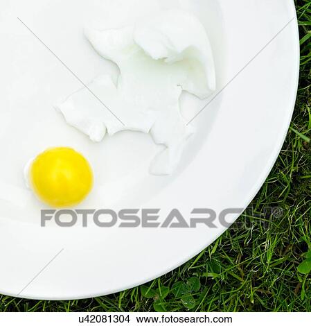 Picture - Overhead view of boiled egg on white plate with separated egg yolk and white. Fotosearch