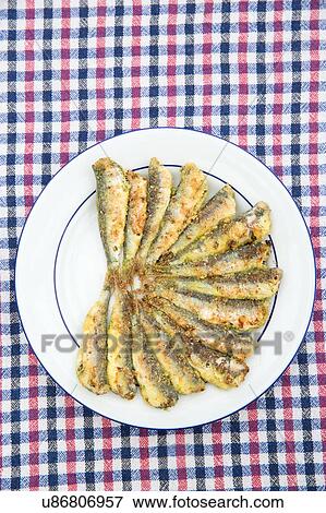 Overhead view of cooked sardines on plate, Alacati, Turkey View Large Photo Image Stock Photo - Overhead view of cooked sardines on plate, Alacati, Turkey. Fotosearch