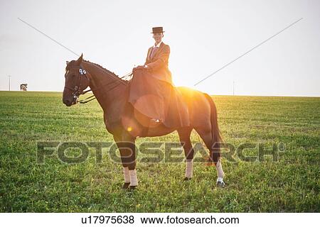 Stock Photo - Portrait of dressage horse and rider training in field at sunset. Fotosearch