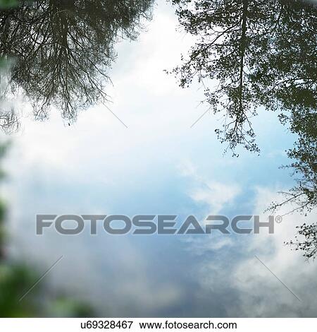 Puddle with upside down reflection of blue sky and trees View Large Photo Image Stock Photo - Puddle with upside down reflection of blue sky and trees. Fotosearch