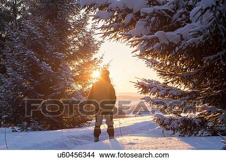 Rear view of male hiker hiking in sunlit snow covered forest, Ural, Russia View Large Photo Image Picture - Rear view of male hiker hiking in sunlit snow covered forest, Ural, Russia. Fotosearch