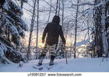 Stock Photo - Rear view of male hiker hiking in snow covered forest, Ural, Russia. Fotosearch