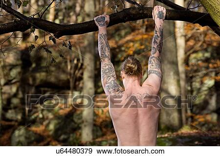 Rear view of tattooed mid adult man in forest doing pull up on tree View Large Photo Image Stock Photo - Rear view of tattooed mid adult man in forest doing pull up on tree. Fotosearch