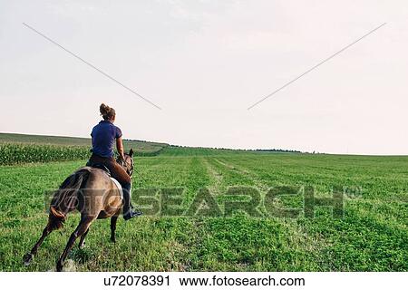 Rear view of woman galloping on bay horse in field View Large Photo Image Stock Image - Rear view of woman galloping on bay horse in field. Fotosearch