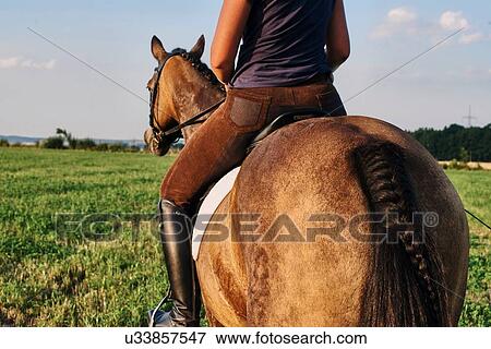Rear view of woman riding bay horse in field View Large Photo Image Stock Photo - Rear view of woman riding bay horse in field. Fotosearch