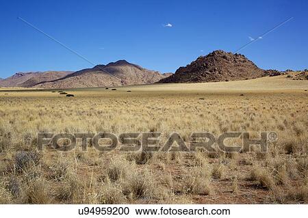 Scenic view, Namibia View Large Photo Image Stock Image - Scenic view, Namibia. Fotosearch