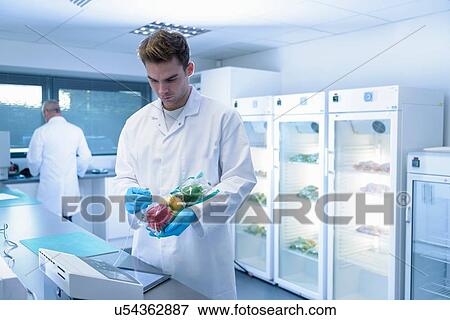 Stock Photo - Scientist inspecting food for freshness in laboratory in food packaging printing factory. Fotosearch