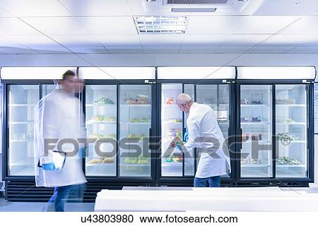 Scientists inspecting food for freshness in laboratory in food packaging printing factory View Large Photo Image Stock Image - Scientists inspecting food for freshness in laboratory in food packaging printing factory. Fotosearch