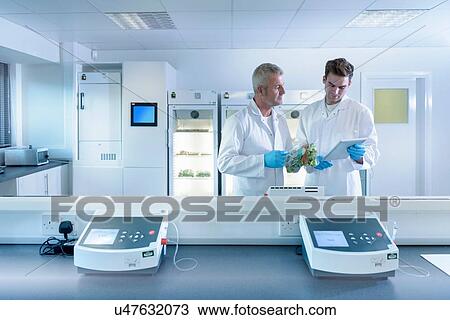 Stock Image - Scientists working in laboratory in food packaging printing factory. Fotosearch