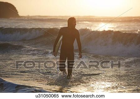 Silhouette of young male surfer carrying surfboard in sea, Devon, England, UK View Large Photo Image Stock Photography - Silhouette of young male surfer carrying surfboard in sea, Devon, England, UK. Fotosearch