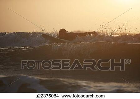 Silhouette of young male surfer surfing in sea, Devon, England, UK View Large Photo Image Picture - Silhouette of young male surfer surfing in sea, Devon, England, UK. Fotosearch