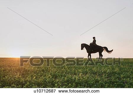 Stock Photo - Silhouetted dressage horse and rider training in field at sunset. Fotosearch