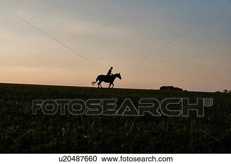 Stock Image - Silhouetted view of woman riding horse in field. Fotosearch