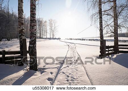 Snow covered landscape with footprints and tracks in gateway, Ural, Russia View Large Photo Image Stock Photo - Snow covered landscape with footprints and tracks in gateway, Ural, Russia. Fotosearch