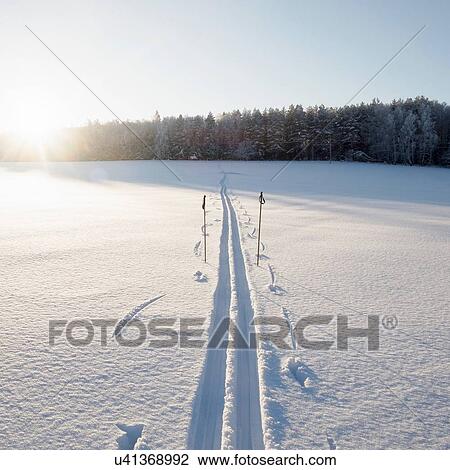 Snow covered sunlit landscape with skiing tracks and ski poles, Ural, Russia View Large Photo Image Stock Image - Snow covered sunlit landscape with skiing tracks and ski poles, Ural, Russia. Fotosearch