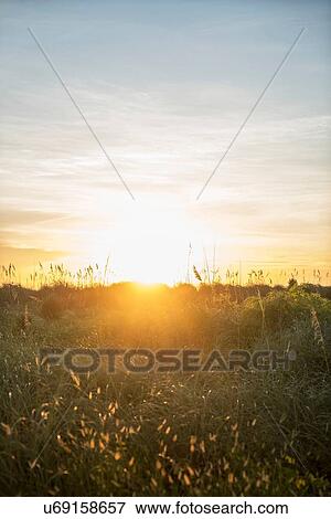 Sunrise over meadow View Large Photo Image Stock Photo - Sunrise over meadow. Fotosearch