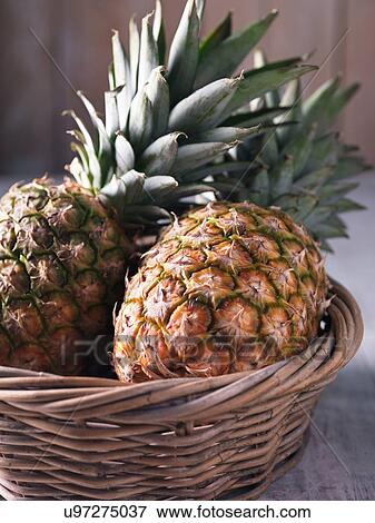 Two fresh pineapples in wicker basket View Large Photo Image Stock Photo - Two fresh pineapples in wicker basket. Fotosearch
