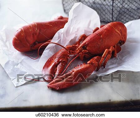 Stock Photograph - Two whole wet fresh lobsters on paper and marble. Fotosearch
