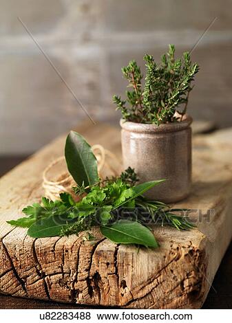 Variety of fresh herbs and jar on rustic wood View Large Photo Image Stock Photo - Variety of fresh herbs and jar on rustic wood. Fotosearch