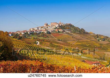 View of autumn vineyards and hill village, Langhe, Piedmont, Italy View Large Photo Image Stock Photography - View of autumn vineyards and hill village, Langhe, Piedmont, Italy. Fotosearch