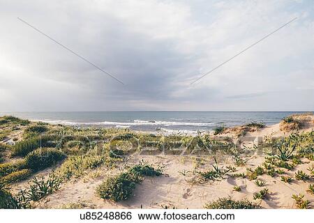 Stock Photograph - View of sea and sand dunes, Sorso, Sassari, Sardinia, Italy. Fotosearch