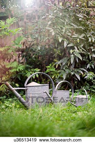 Stock Photo - Watering cans on grass. Fotosearch
