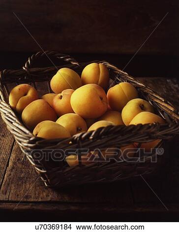 Wicker basket of yellow peaches View Large Photo Image Picture - Wicker basket of yellow peaches. Fotosearch