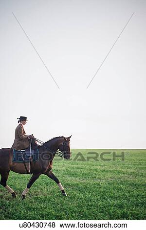 Woman riding dressage horse in field View Large Photo Image Stock Photo - Woman riding dressage horse in field. Fotosearch