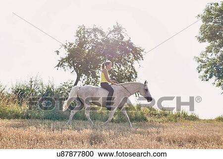 Woman riding grey horse in field View Large Photo Image Stock Image - Woman riding grey horse in field. Fotosearch