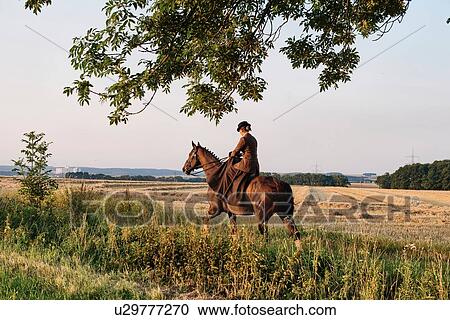 Woman riding horse in field View Large Photo Image Stock Image - Woman riding horse in field. Fotosearch