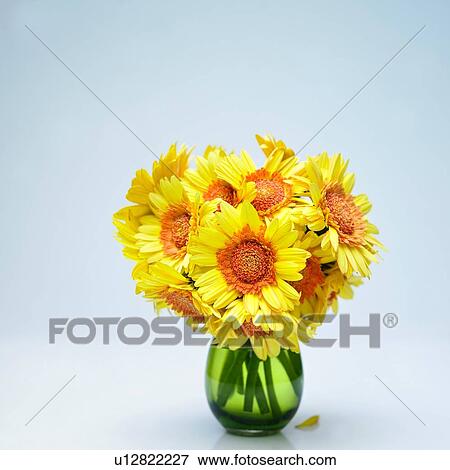 Yellow flowers in green vase View Large Photo Image Stock Photo - Yellow flowers in green vase. Fotosearch