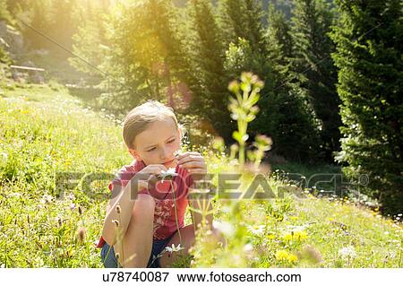 Young girl in field, looking at flower View Large Photo Image Stock Photo - Young girl in field, looking at flower. Fotosearch