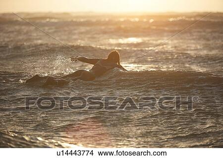 Young male surfer paddling out to sea on surfboard, Devon, England, UK View Large Photo Image Picture - Young male surfer paddling out to sea on surfboard, Devon, England, UK. Fotosearch