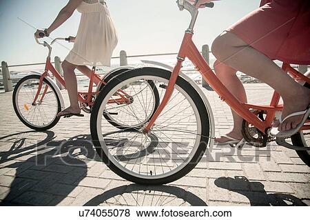Stock Photo - Young women cycling on seafront, Cape Town, South Africa. Fotosearch