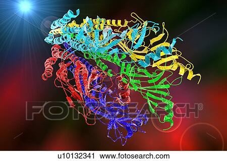 Acetylcholine receptor, illustration View Large Illustration Clip Art - Acetylcholine receptor, illustration. Fotosearch
