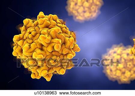 Drawing - Adeno-associated virus, illustration. Fotosearch