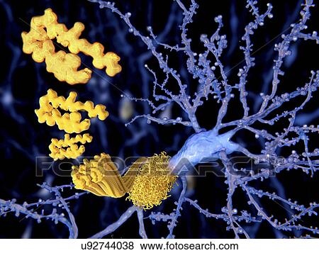 Stock Photo - "Amyloid beta peptide, illustration". Fotosearch