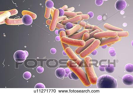 Bacteria, illustration View Large Illustration Clipart - Bacteria, illustration. Fotosearch