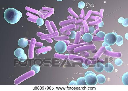 Stock Illustration - Bacteria, illustration. Fotosearch