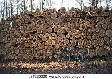 Bicycle leaning against stack of logs View Large Photo Image Stock Image - Bicycle leaning against stack of logs. Fotosearch