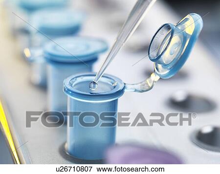 Blood and other samples for testing View Large Photo Image Stock Photo - Blood and other samples for testing. Fotosearch