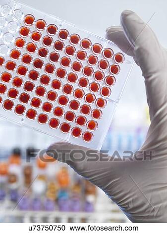 Stock Image - Blood testing. Fotosearch