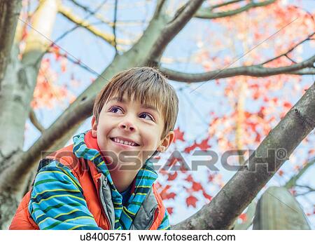Stock Image - Boy climbing tree. Fotosearch