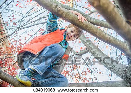 Boy climbing tree View Large Photo Image Stock Photo - Boy climbing tree. Fotosearch