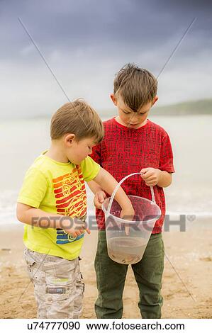 Boys holding crab View Large Photo Image Stock Image - Boys holding crab. Fotosearch